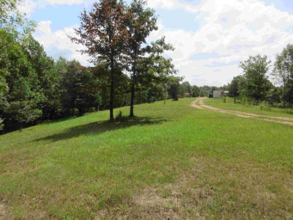 Open grassy field with trees and a dirt road in Forest Ridge Community.