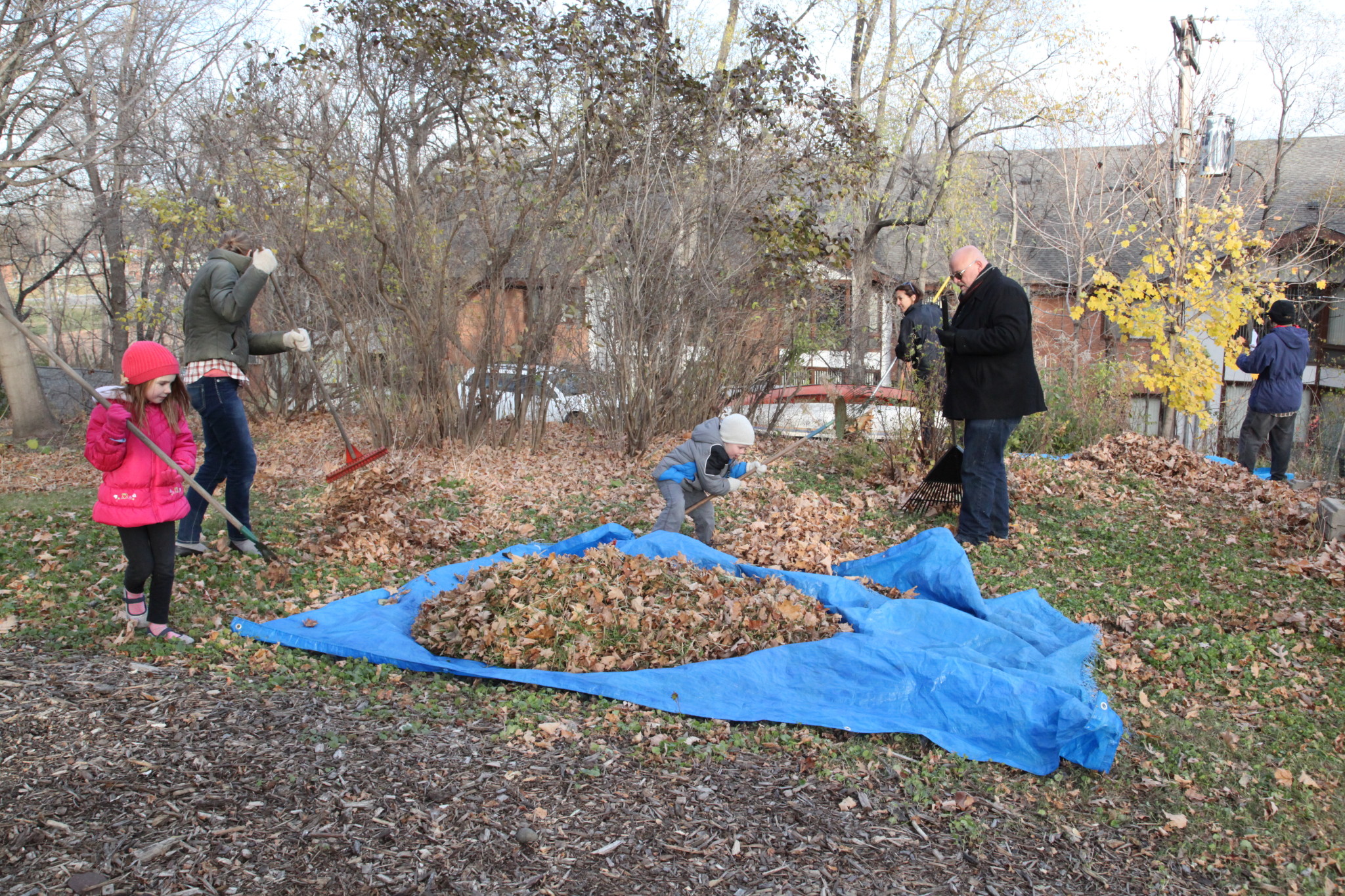 People raking leaves and gathering them on a blue tarp in a community yard.