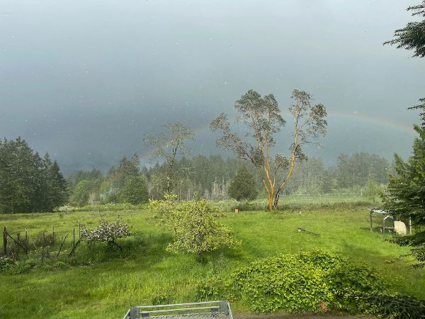 Scenic view of a lush green landscape with trees and a rainbow.