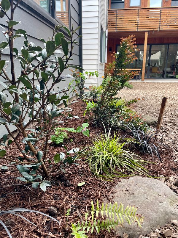 Community garden with diverse plants and landscaping at The Grove.