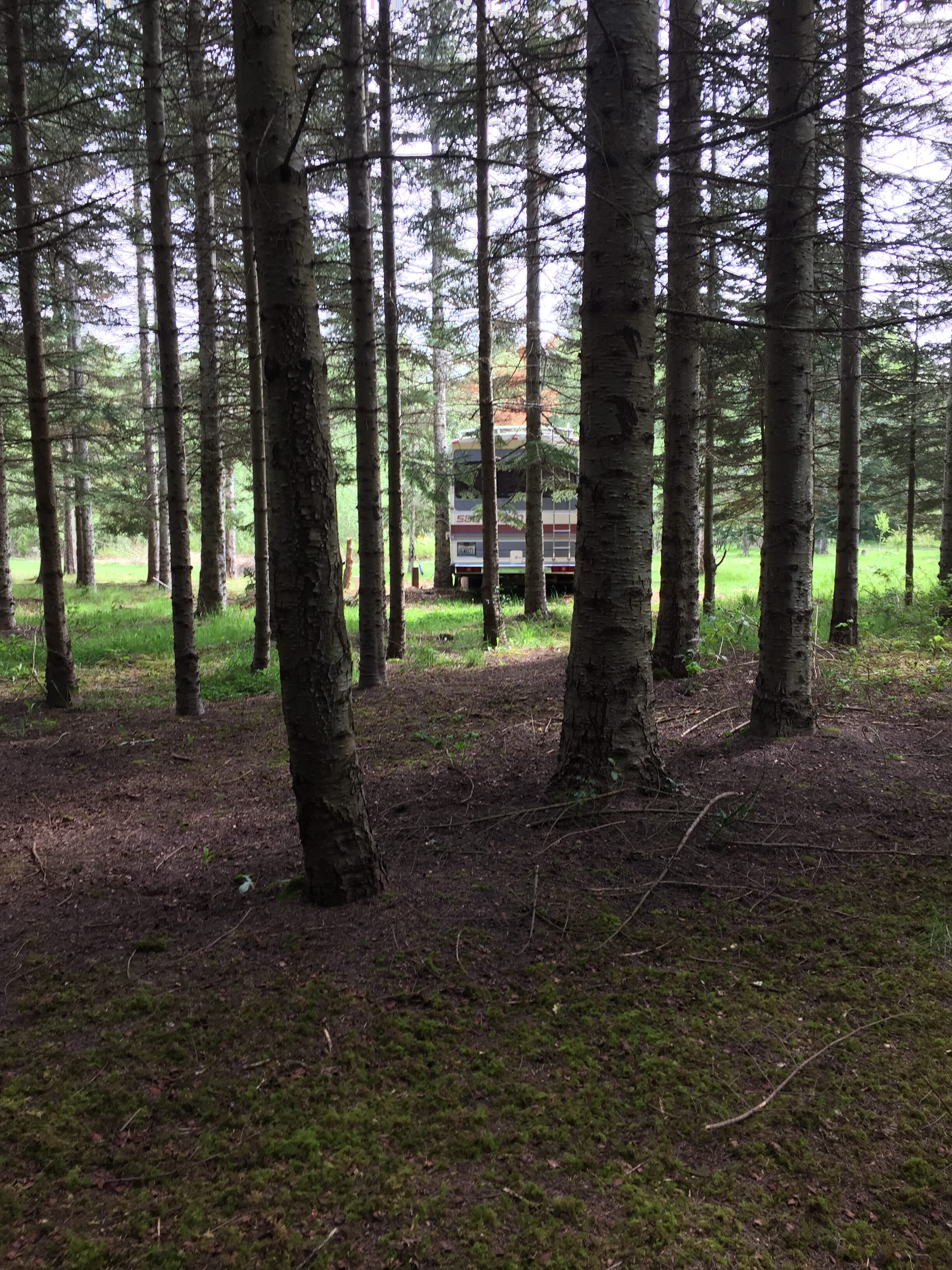 Dense forest with a house partially visible through trees.