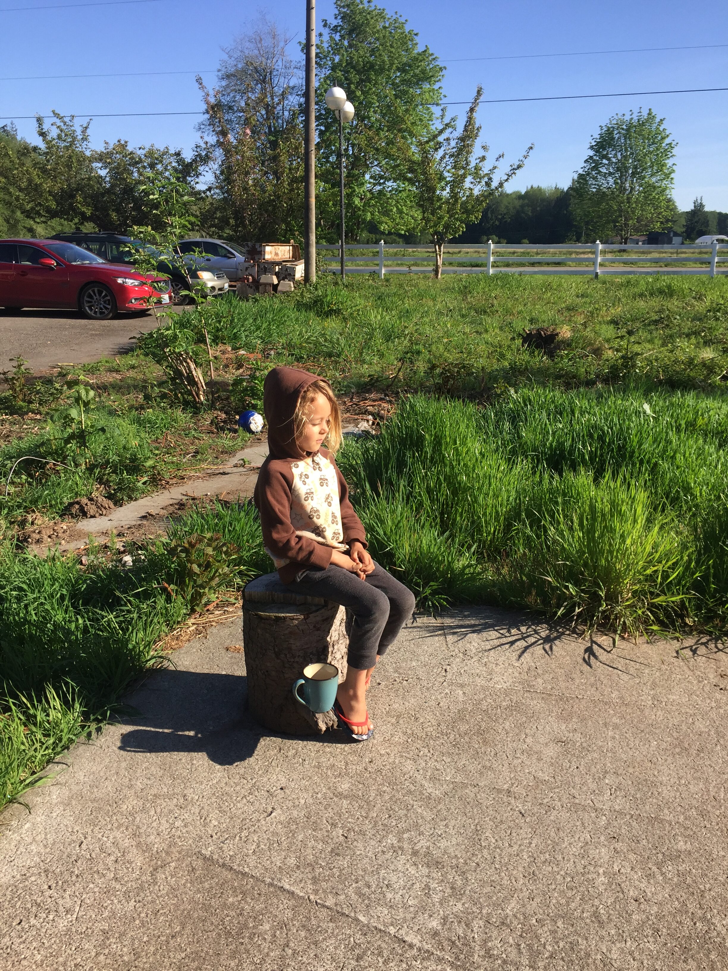 Child sitting on a stone in a park with greenery and cars in the background.