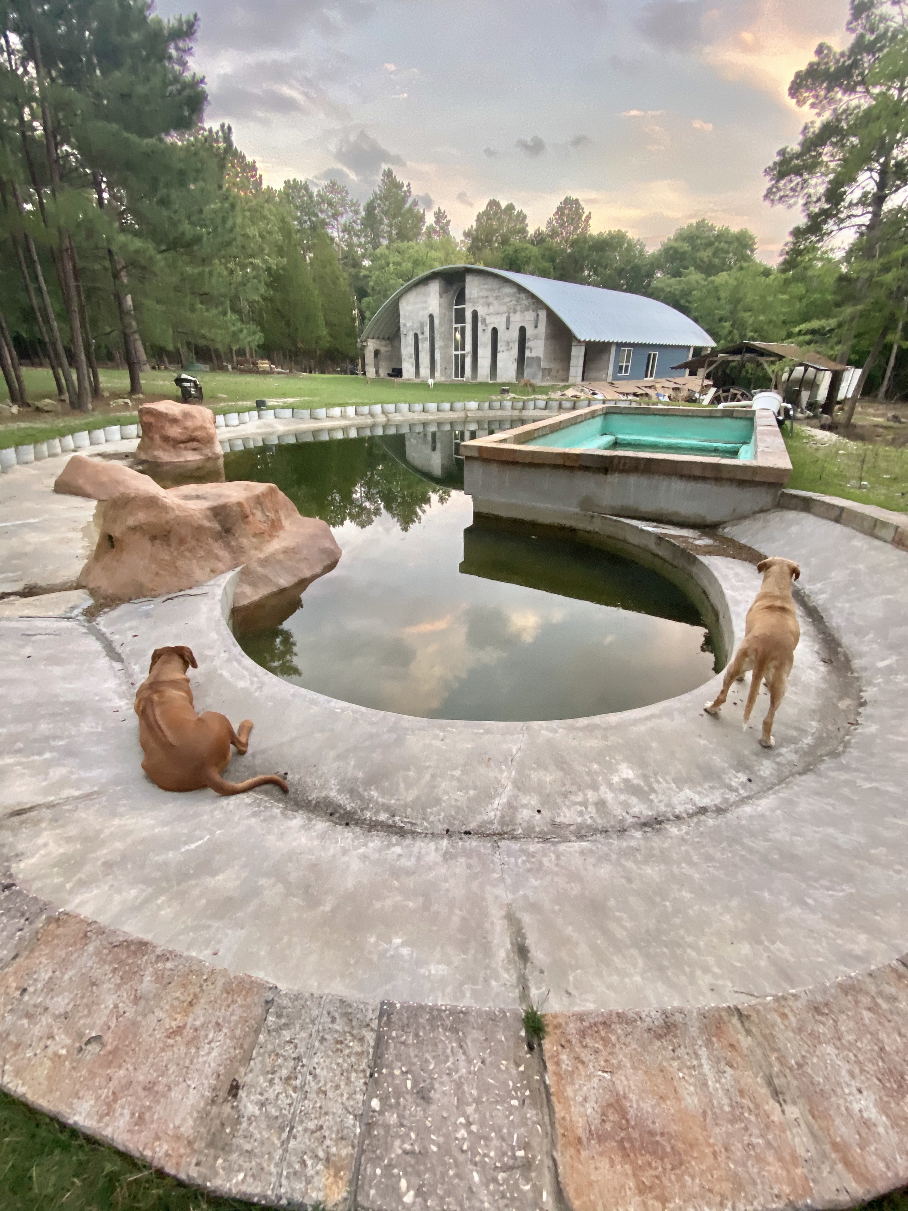 Outdoor community pool with dogs and natural surroundings at Foundation for Intentional Community.