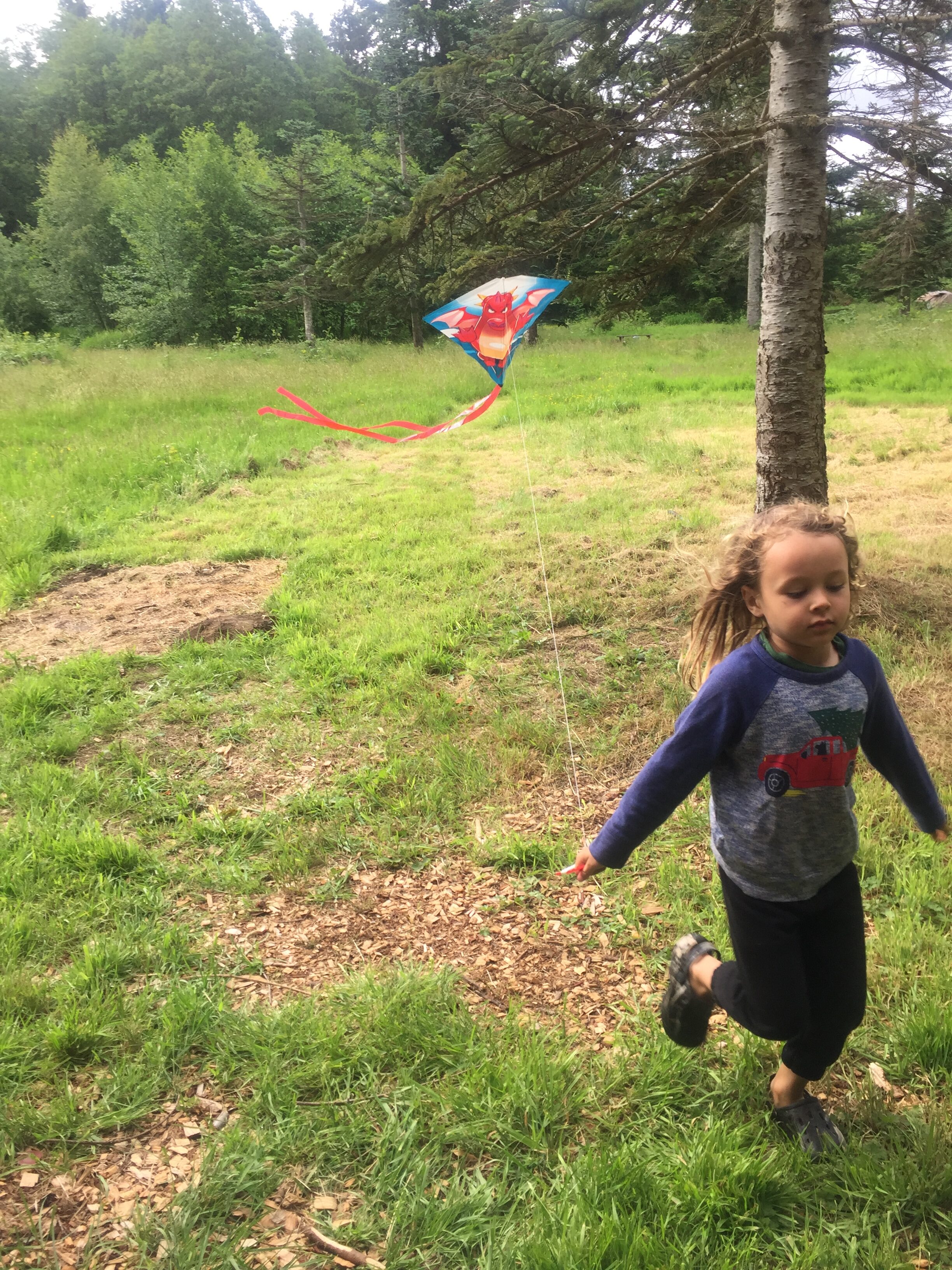 Child flying a colorful kite in a green outdoor setting.