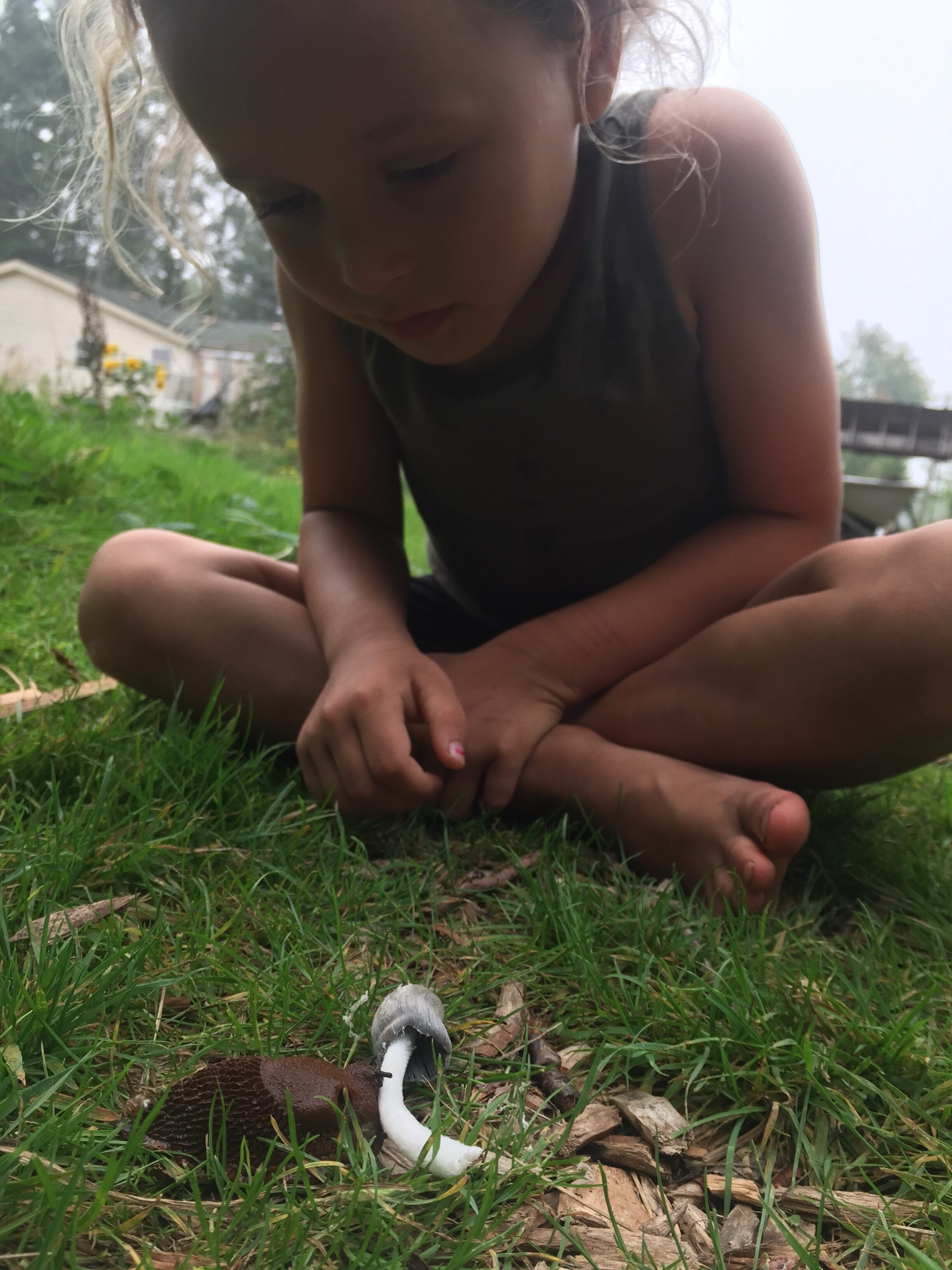 Young girl exploring outdoors with a small animal in a community setting.