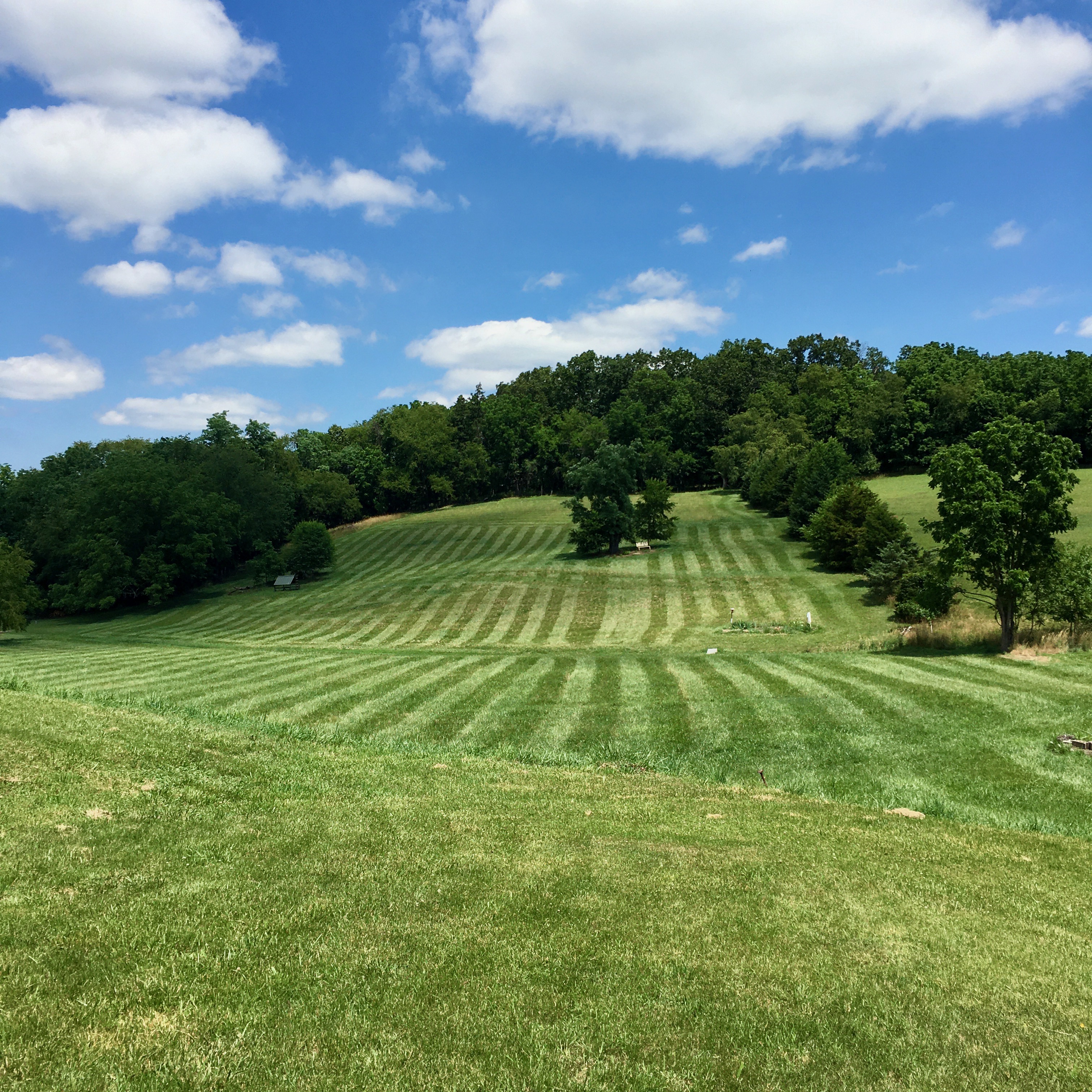 Beautiful landscape of rolling green hills with trees and blue sky.