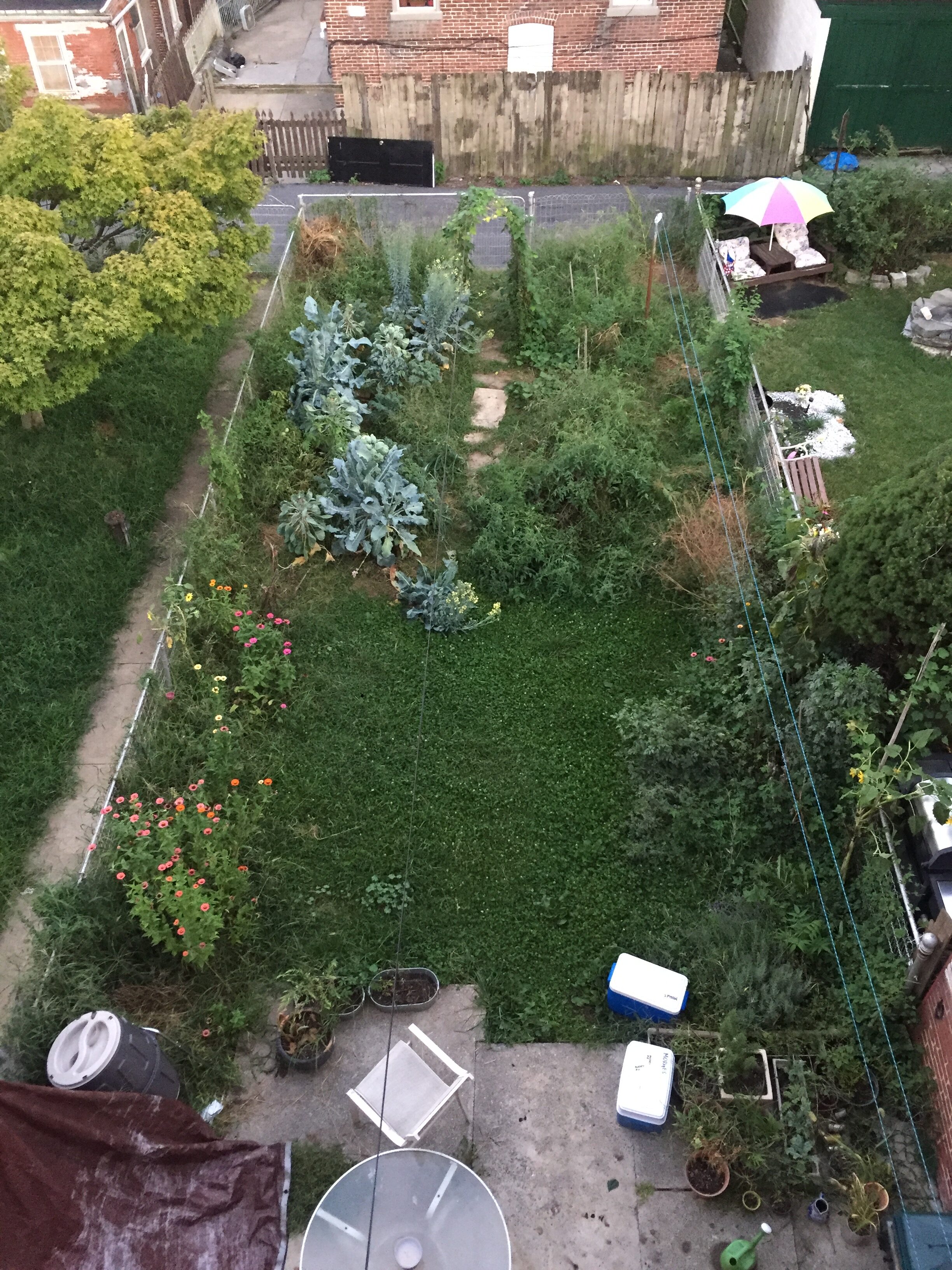 A lush community garden with diverse plants and pathways at Poplar Place.