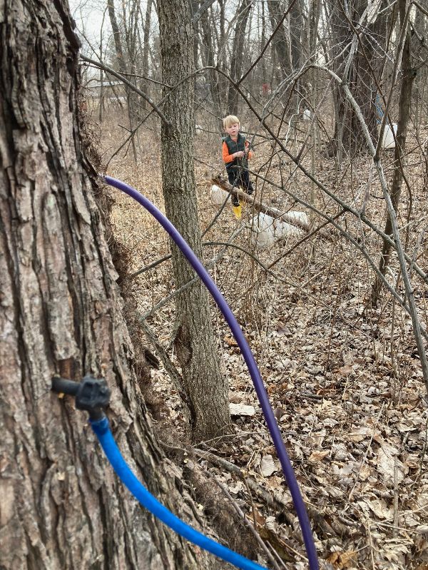 Child enjoying zip line adventure in wooded outdoor setting at Sandhill Farm.