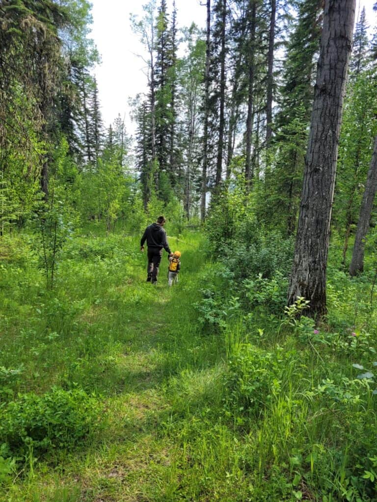 Family walking on forest trail surrounded by tall trees and lush greenery.