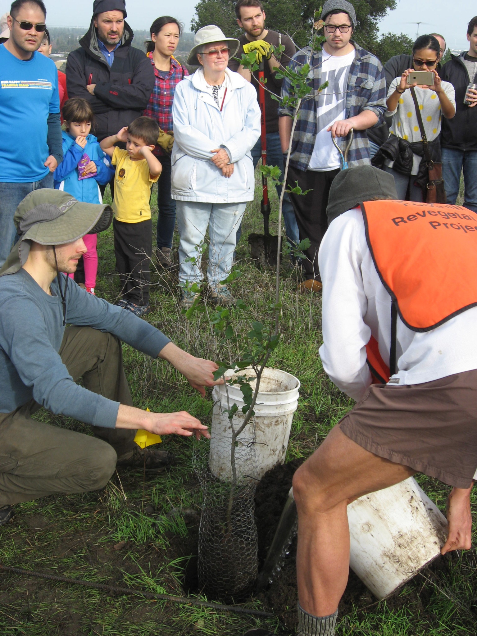 Group planting a tree at a community environmental event.