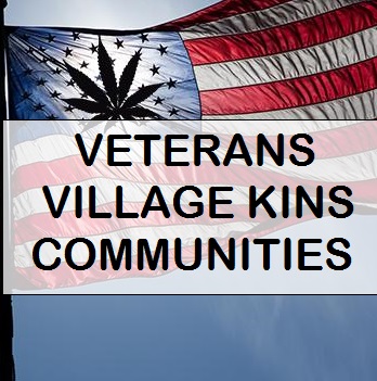 Flag with American and cannabis leaf symbols representing Veterans Village Kins Community.
