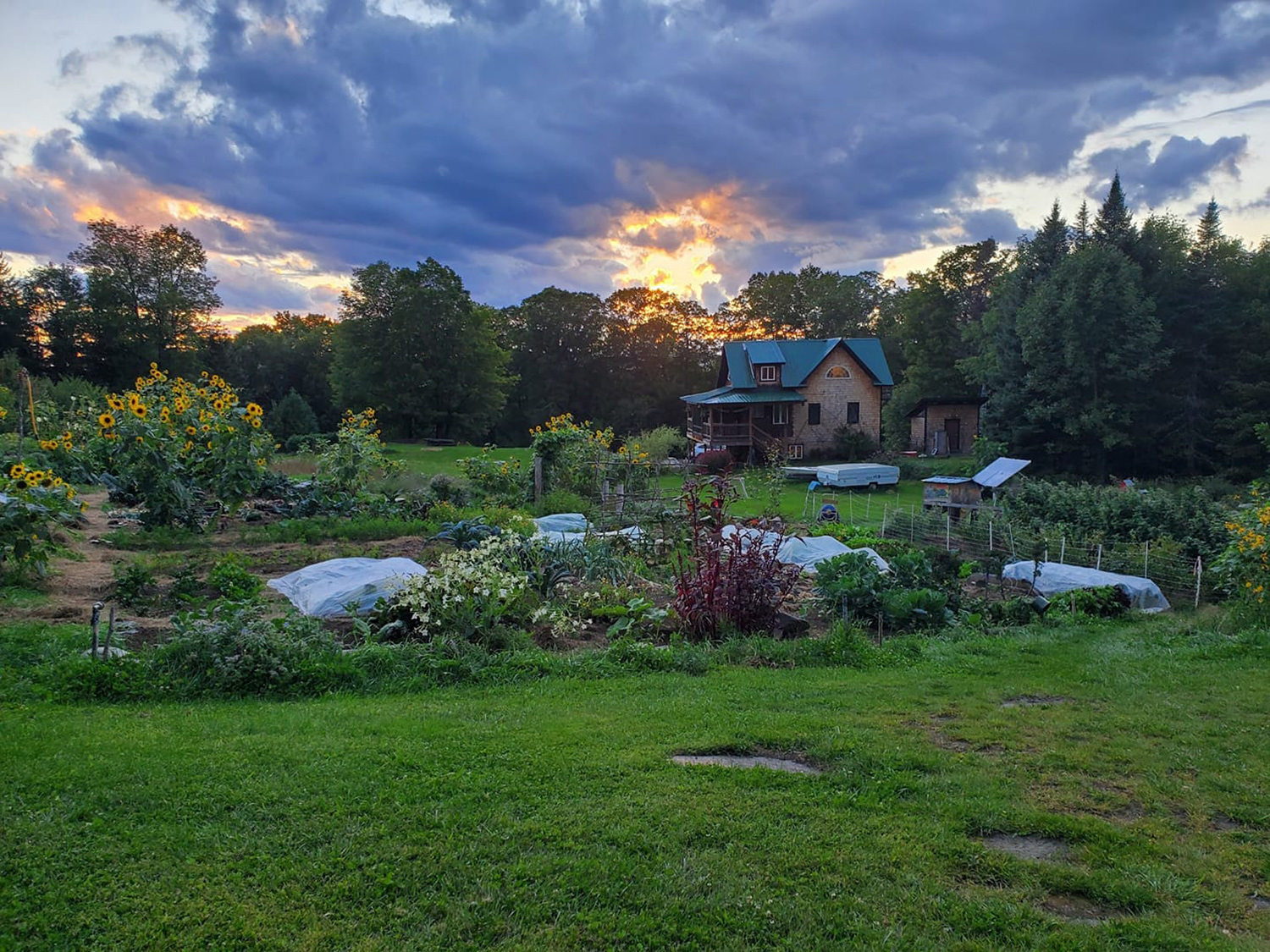 Community garden with greenhouses and lush trees at Headwaters Community.