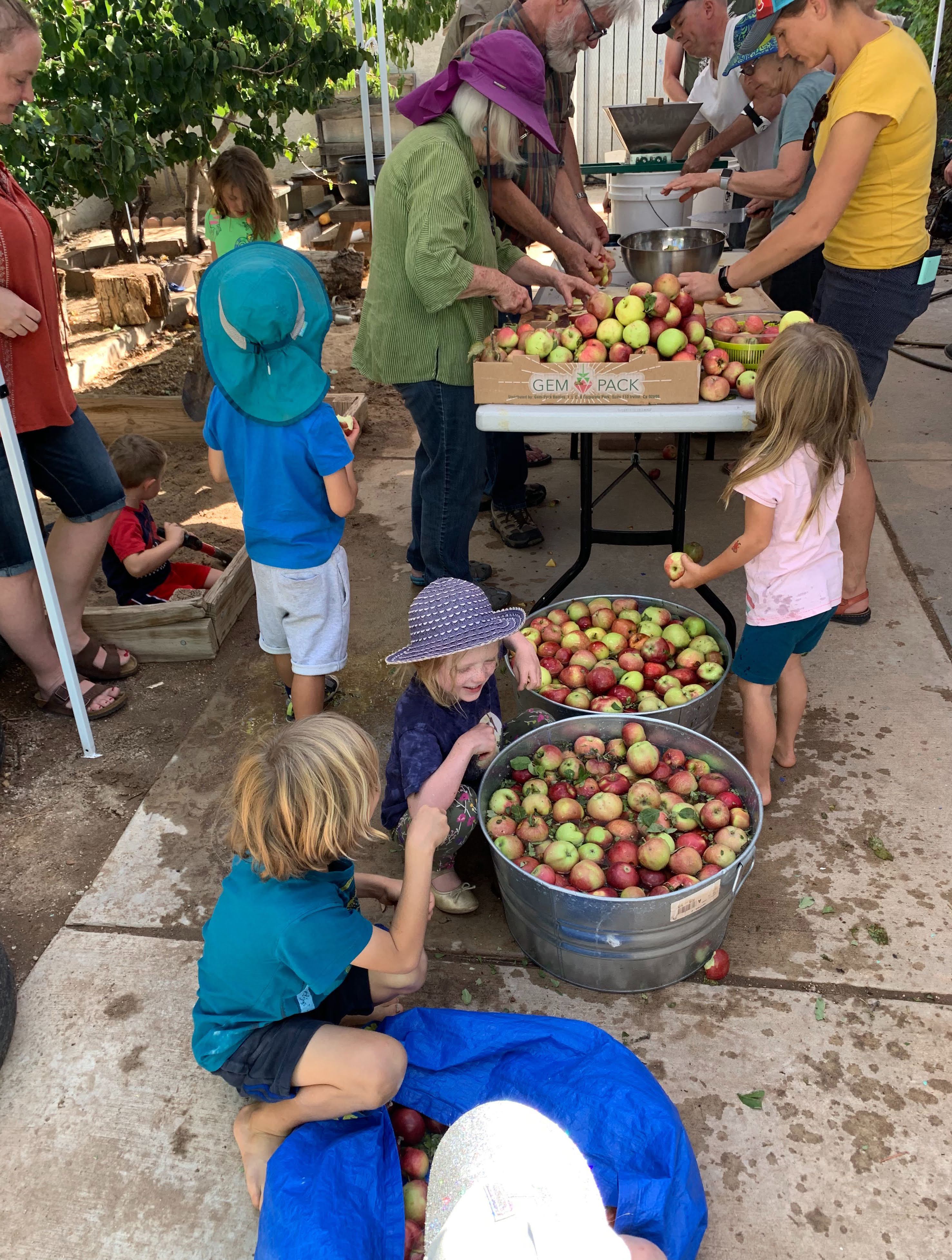 Children and adults gather around a table and buckets of apples at a community event.