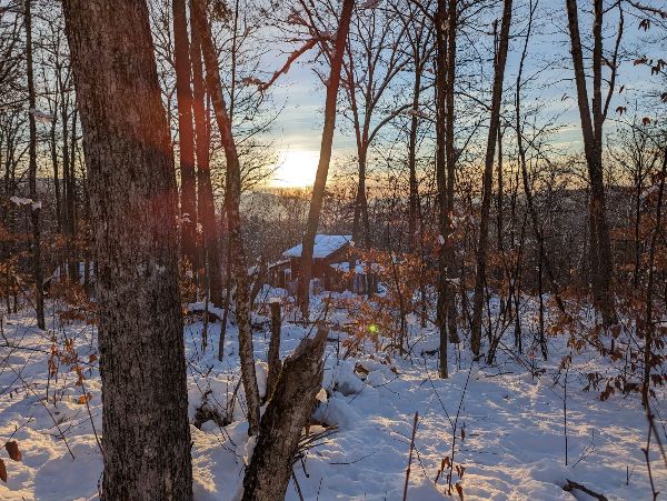 Snow-covered forest with trees and setting sun in the background.