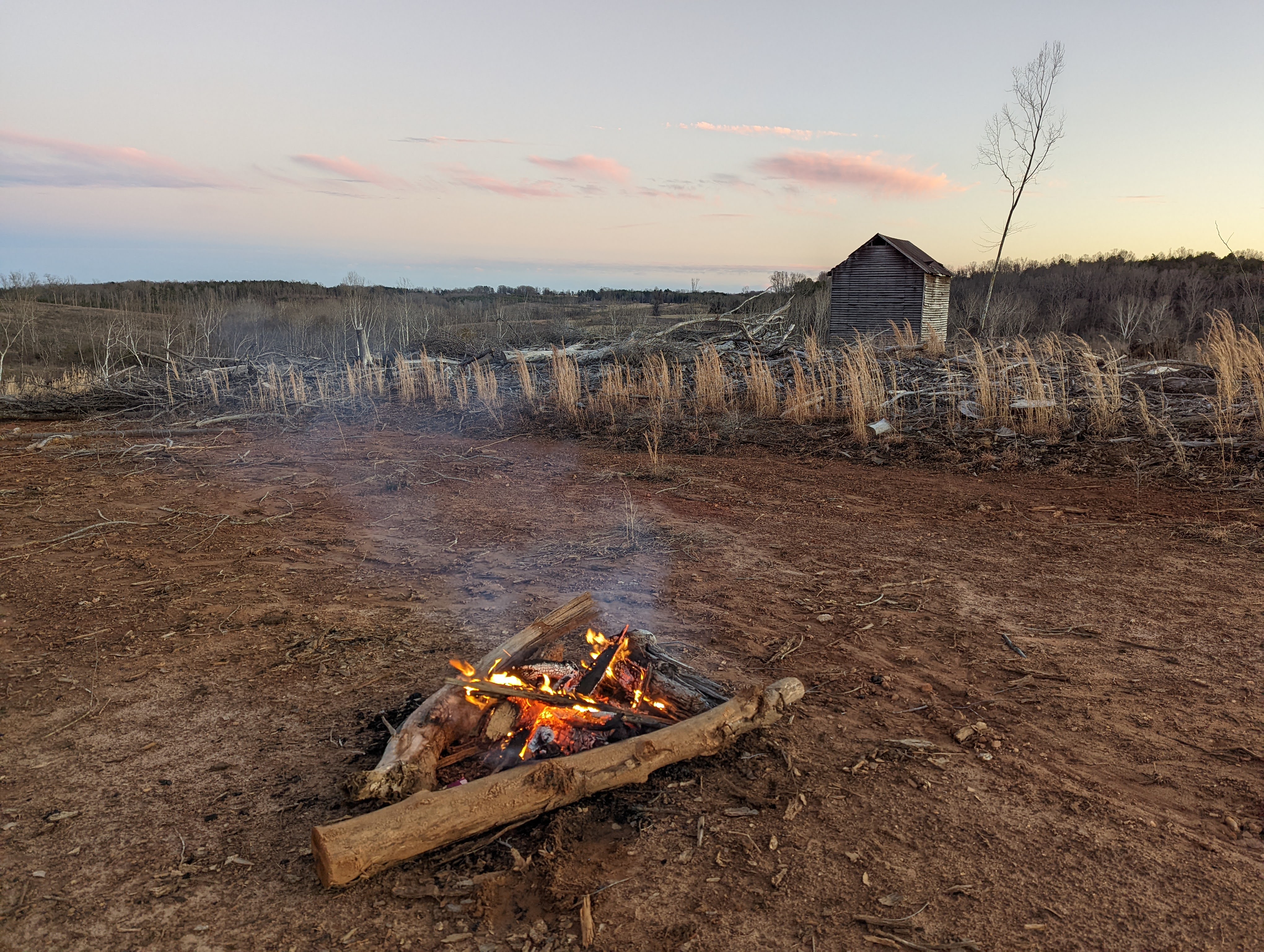 Campfire burning on open land with a small shed and sparse trees.