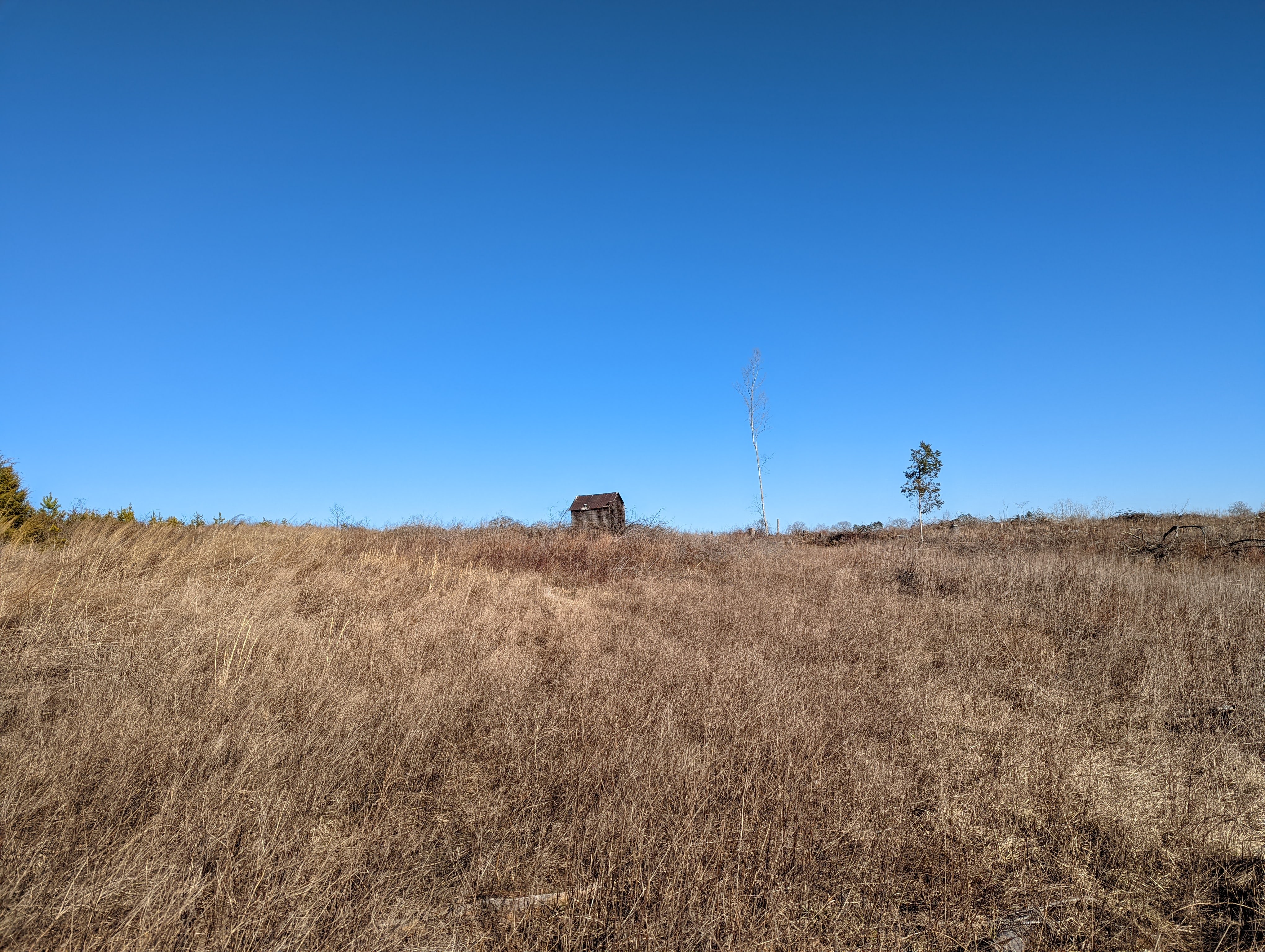 Open field with small house and trees under clear blue sky.