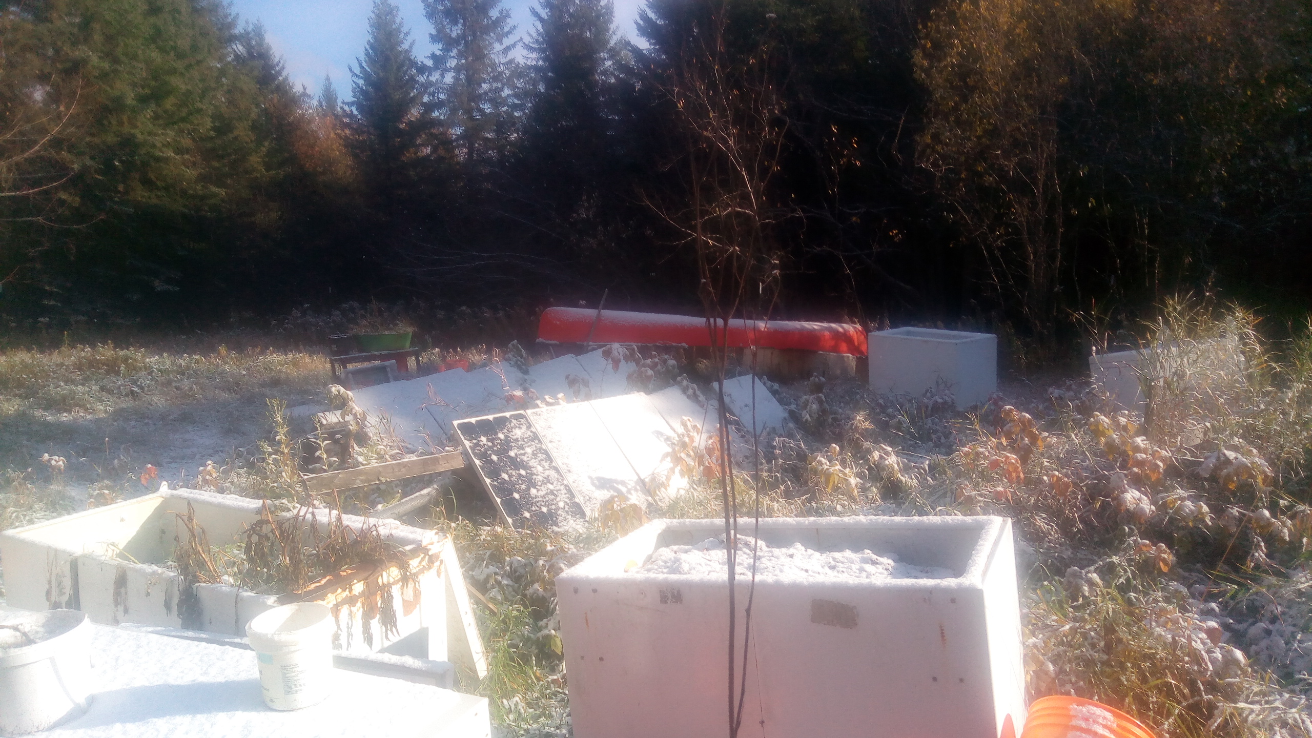 Community site with debris and trash in a natural setting.