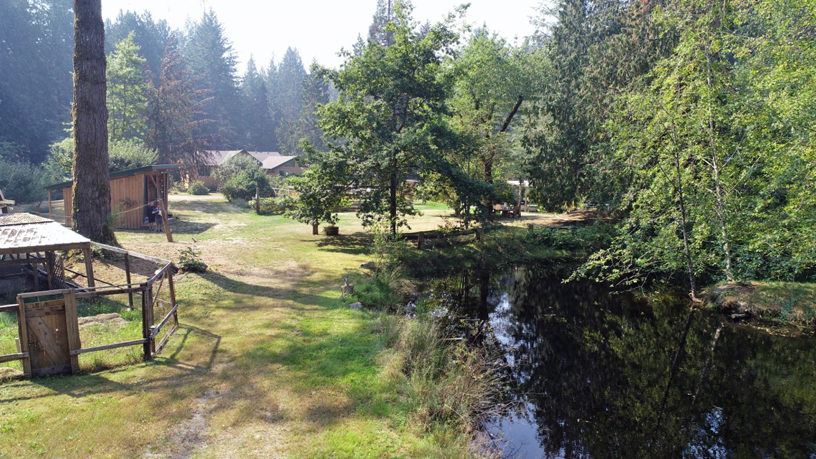 Scenic view of Hearthstone Village Cooperative with trees, water, and pathways.