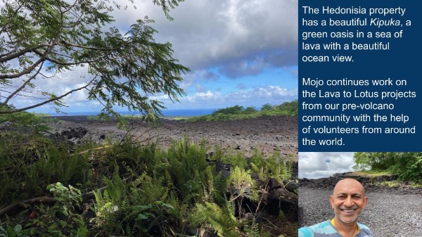 View of Hedonisia property with lava and ocean in Hawaii.