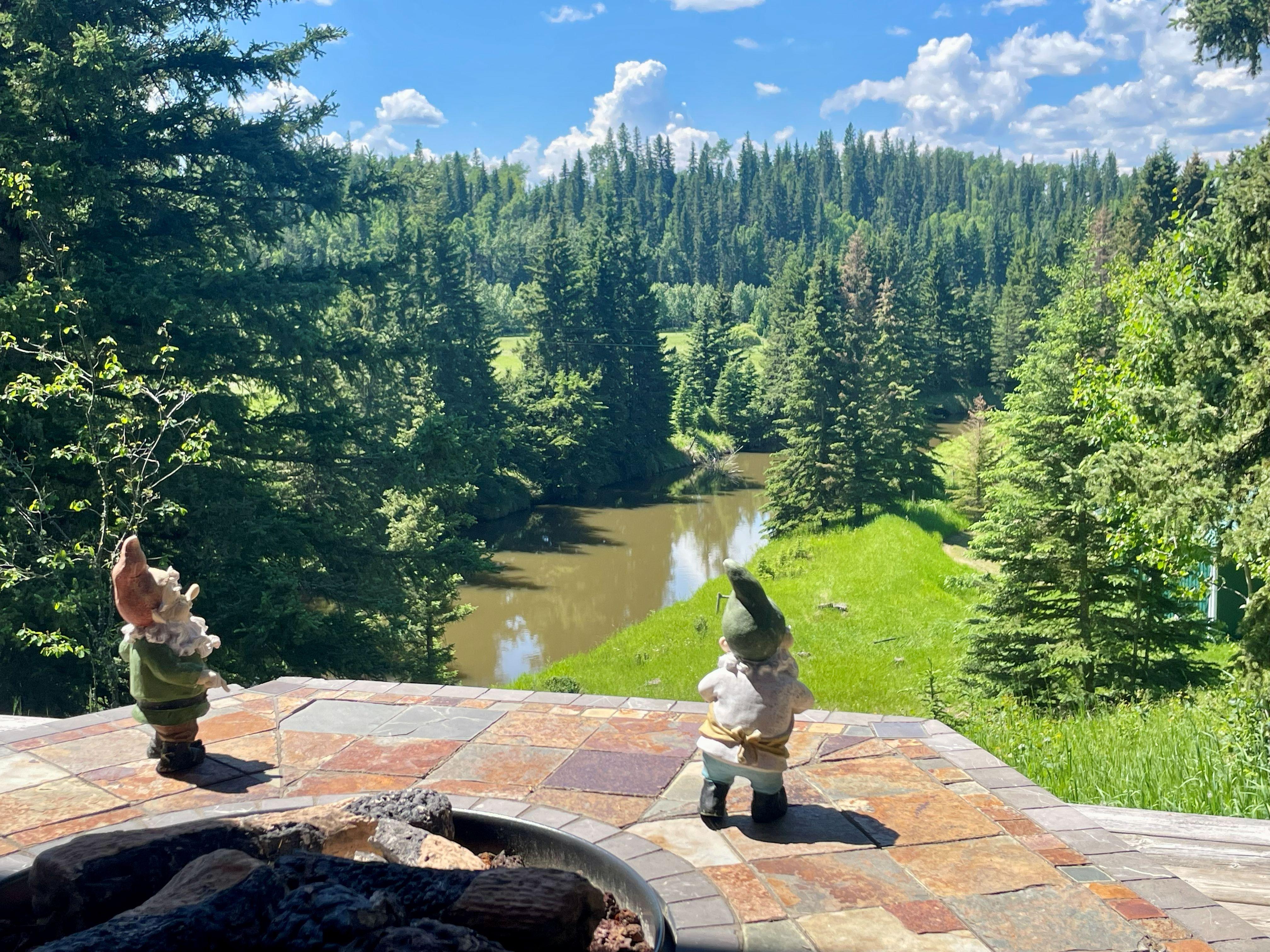 Beautiful forest and river landscape at Foundation for Intentional Community.