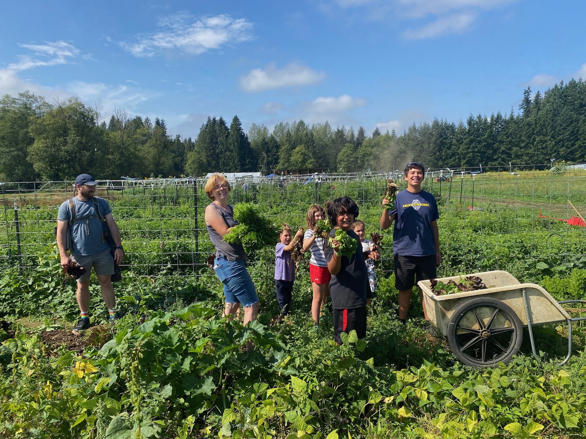 Group of people gardening and harvesting vegetables at Rooted Northwest.