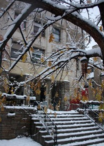 Snow-covered residential building with stairs and trees in winter.