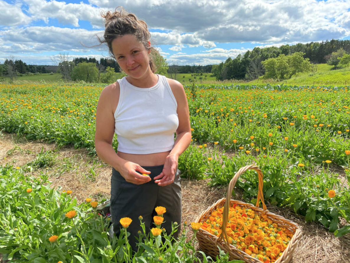 Young woman harvesting marigolds in a lush field with a basket of flowers.