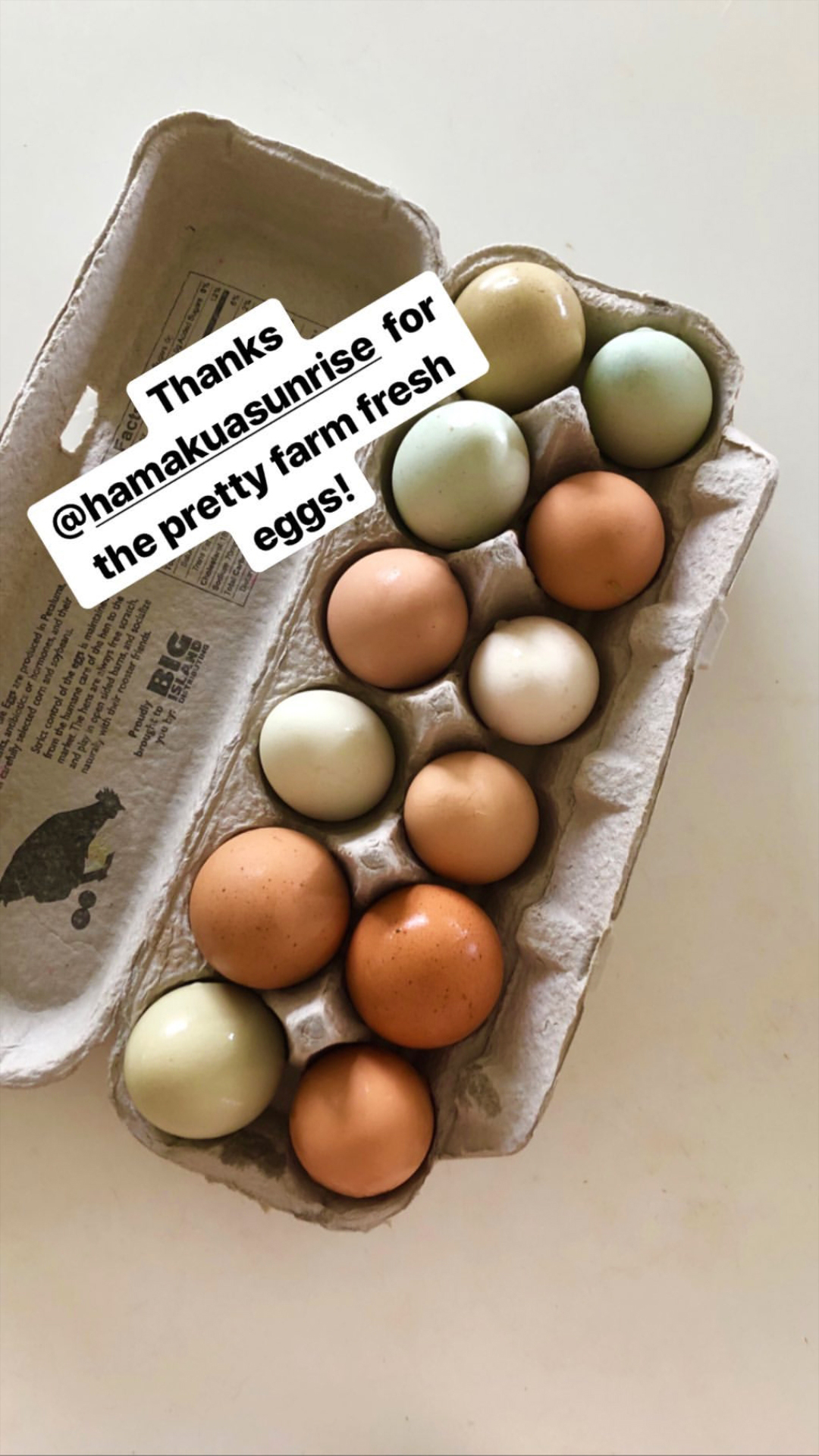 Assorted fresh eggs from the farm in various colors and sizes.