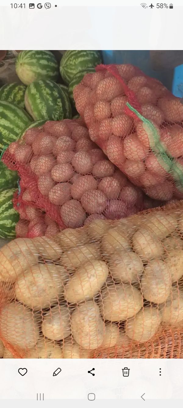 Watermelons and potatoes in mesh bags at a local market.
