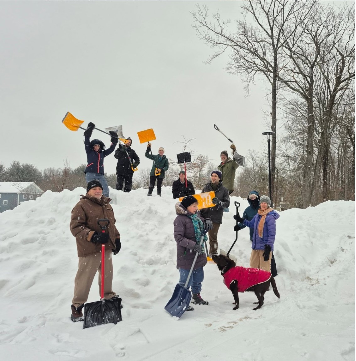 Group of people shoveling snow and holding tools in a snowy landscape.