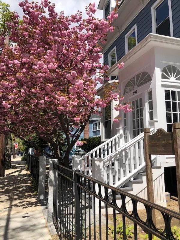 Beautiful house with white porch and pink flowering tree in front.