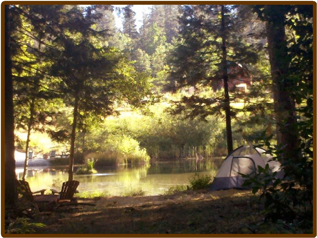 Tent by a peaceful lake surrounded by tall trees in a forest setting.