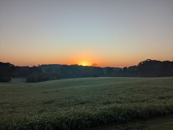 Scenic sunset view over green fields at Burns Village & Farm.