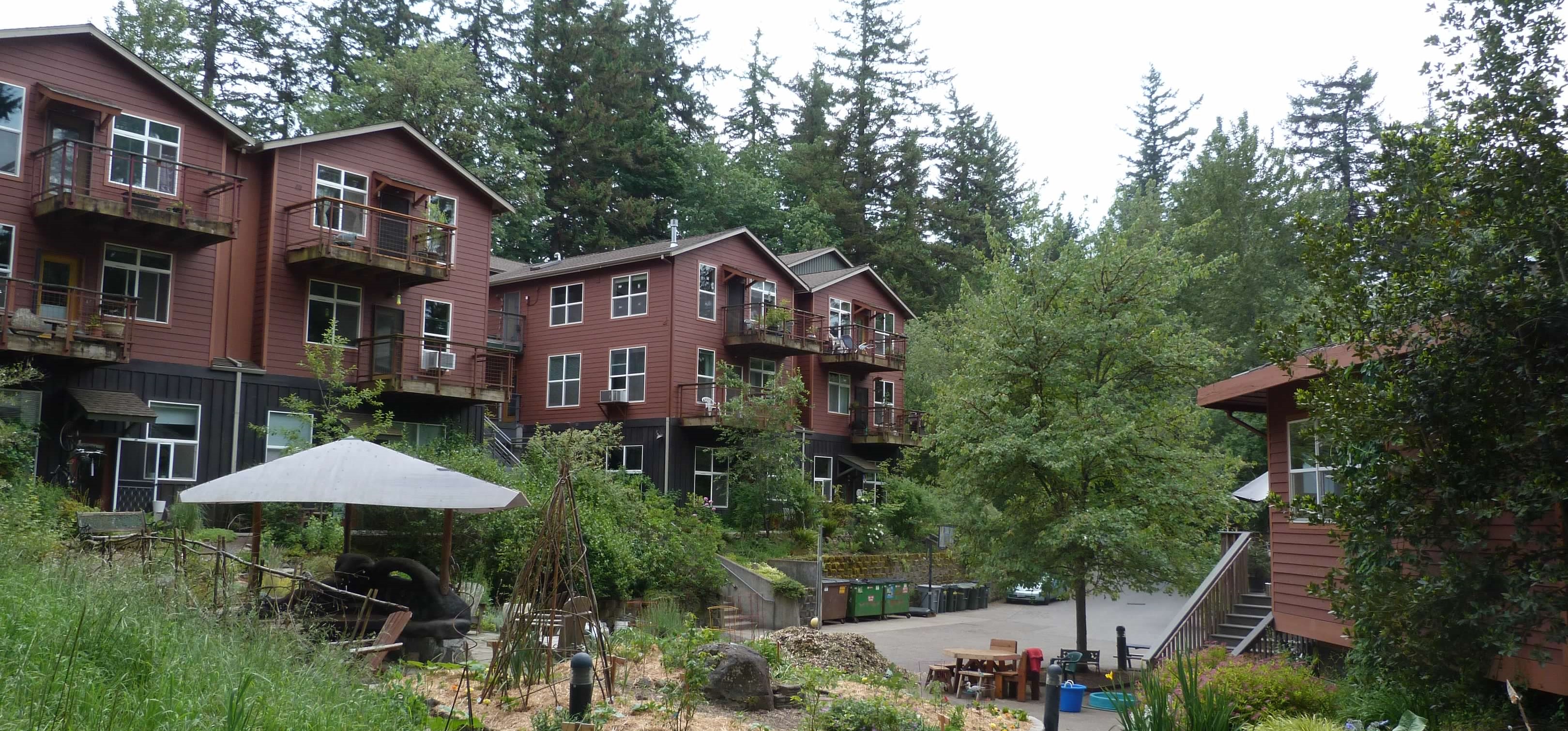 Colorful cohousing homes surrounded by trees and greenery in Trillium Hollow.