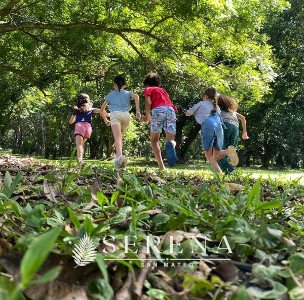 Children running through a lush green forest at Foundation for Intentional Community.