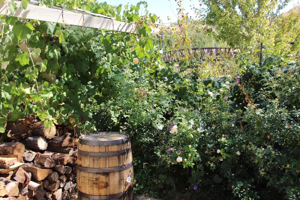 Lush community garden with greenery, flowers, and a wooden barrel in the foreground.