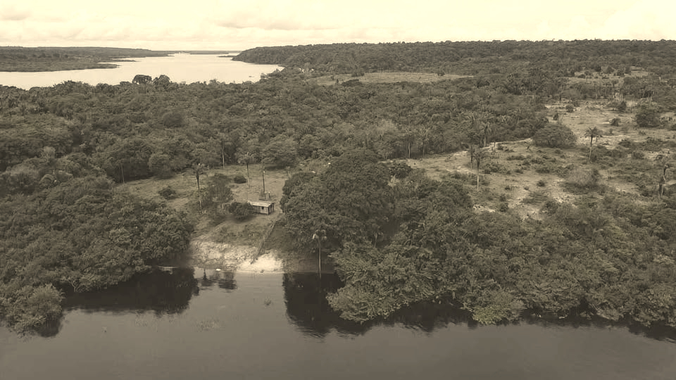 A peaceful lake surrounded by lush trees and greenery in a natural setting.