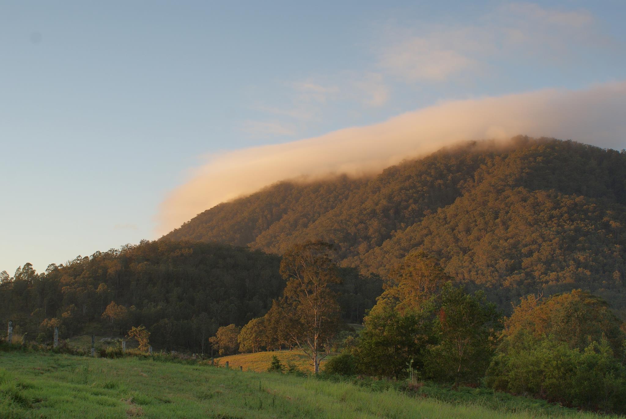 Mountain landscape with forest and cloud formation at sunset.