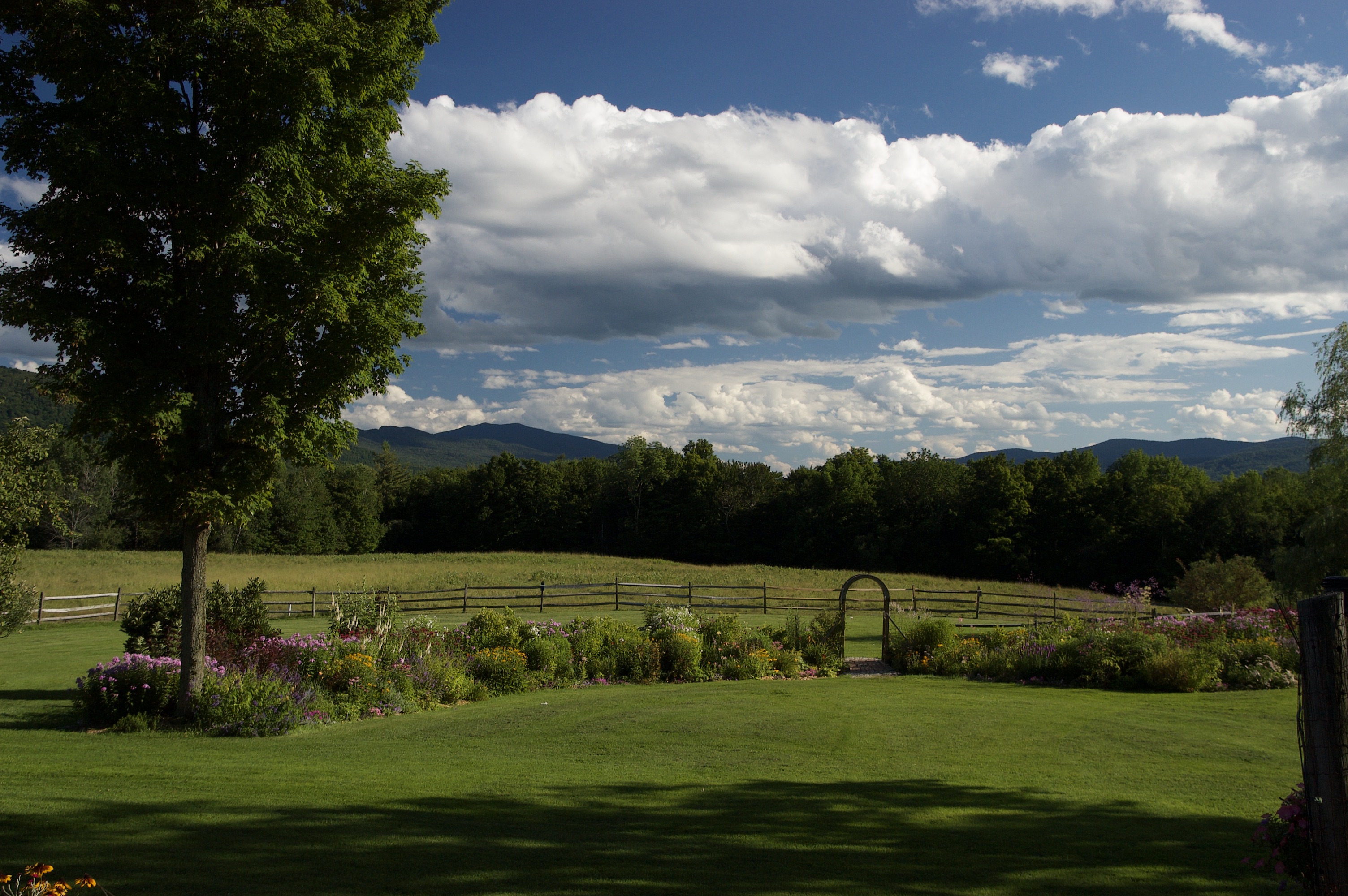 Beautiful rural landscape with trees, fields, and a cloudy sky.