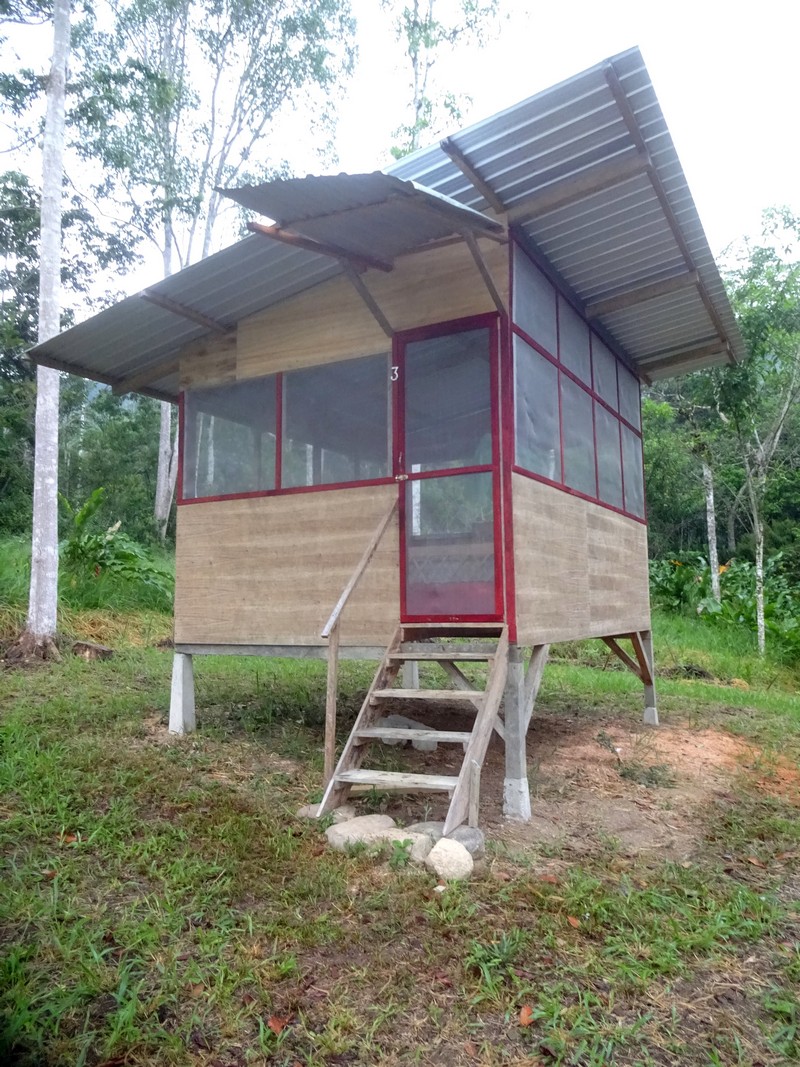 Elevated tiny house with metal roof and wooden walls in a green setting.