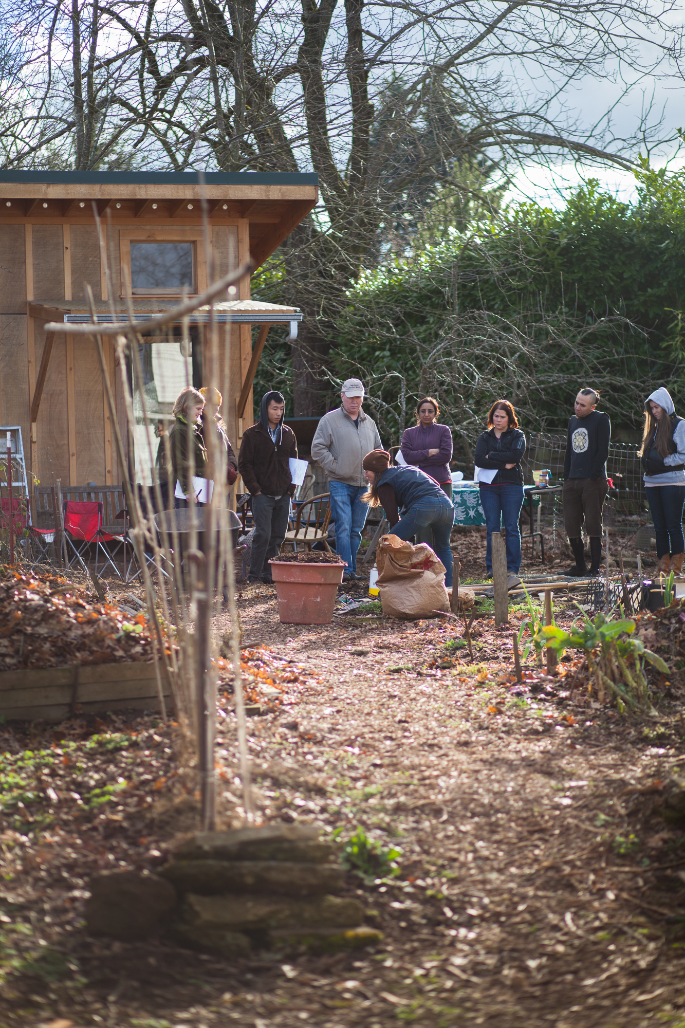 People working together in a community garden at Foundation for Intentional Community.