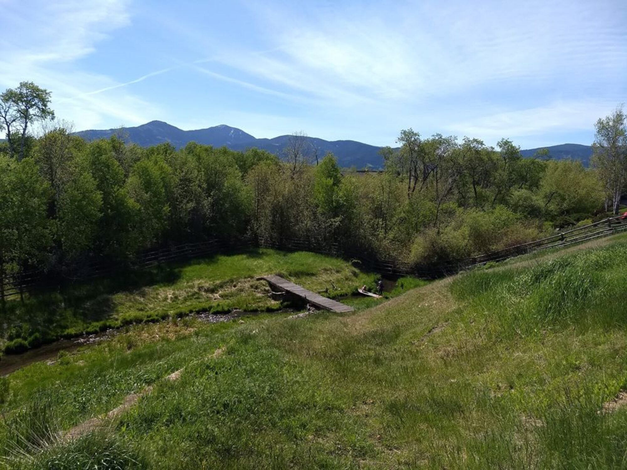 Beautiful landscape with trees, mountains, and a small creek in Bozeman Cohousing.