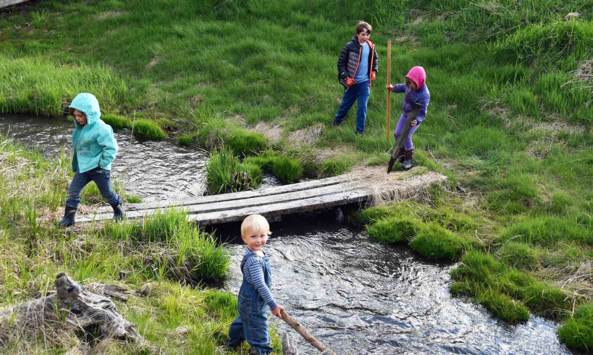 Kids exploring nature by creek with adults nearby at Bozeman Cohousing.