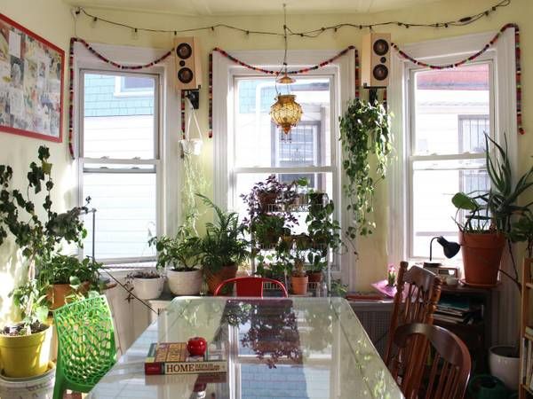 Bright indoor space with numerous potted plants and natural light.