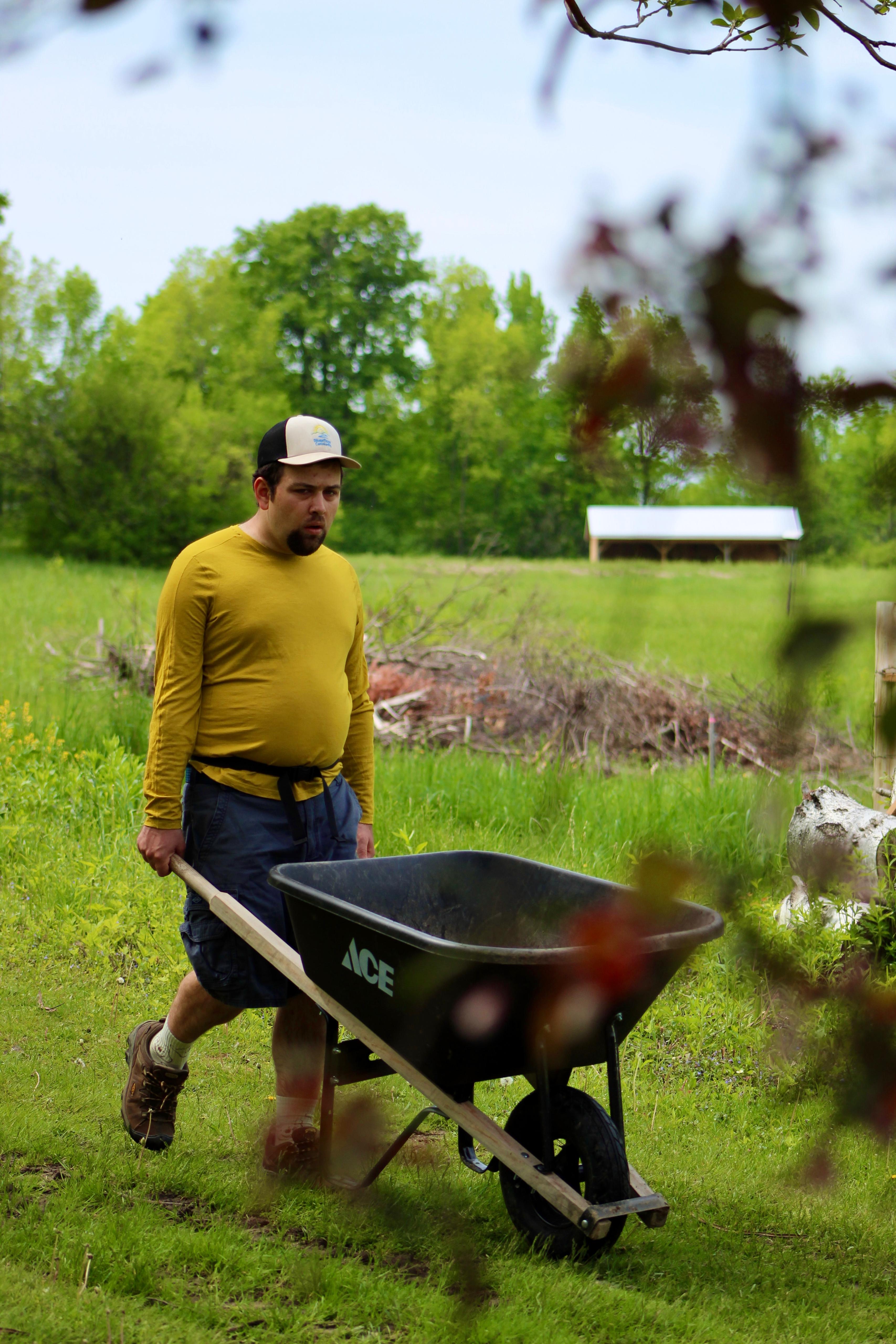Man pushing a wheelbarrow in a lush green community garden.