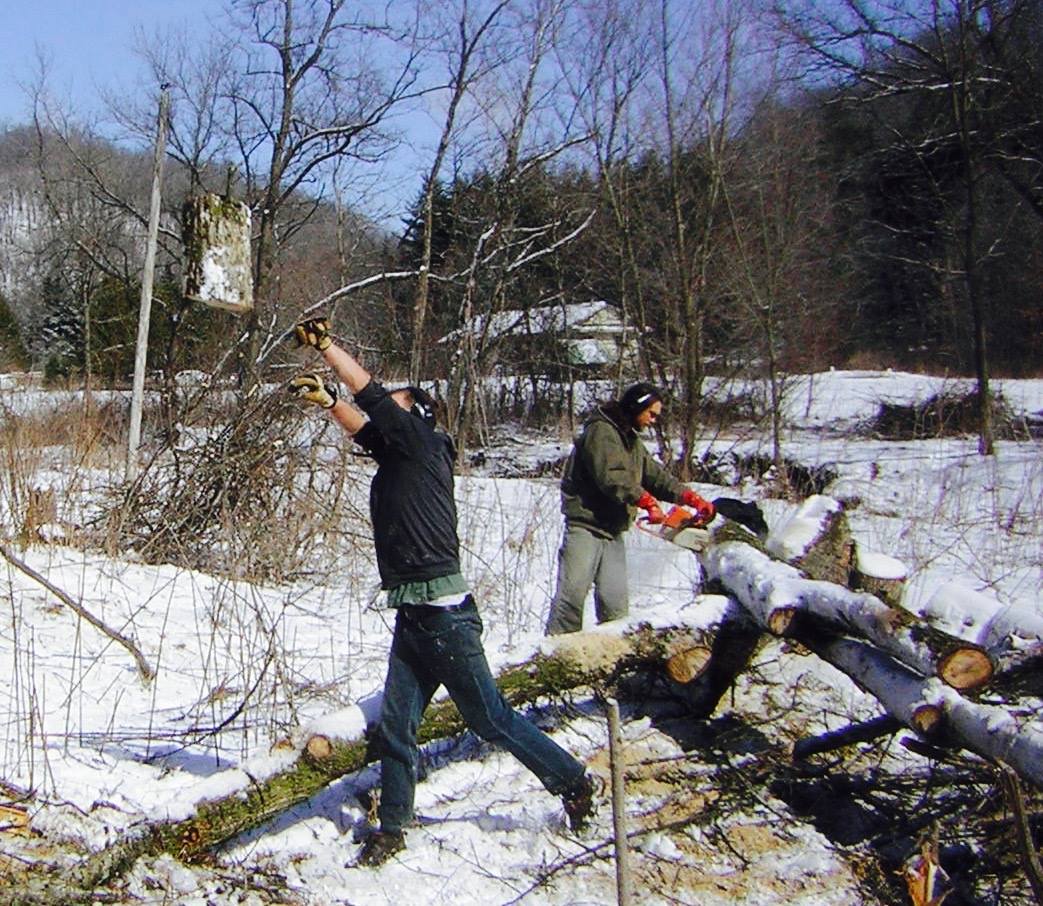 People clearing fallen trees in a snowy outdoor setting.