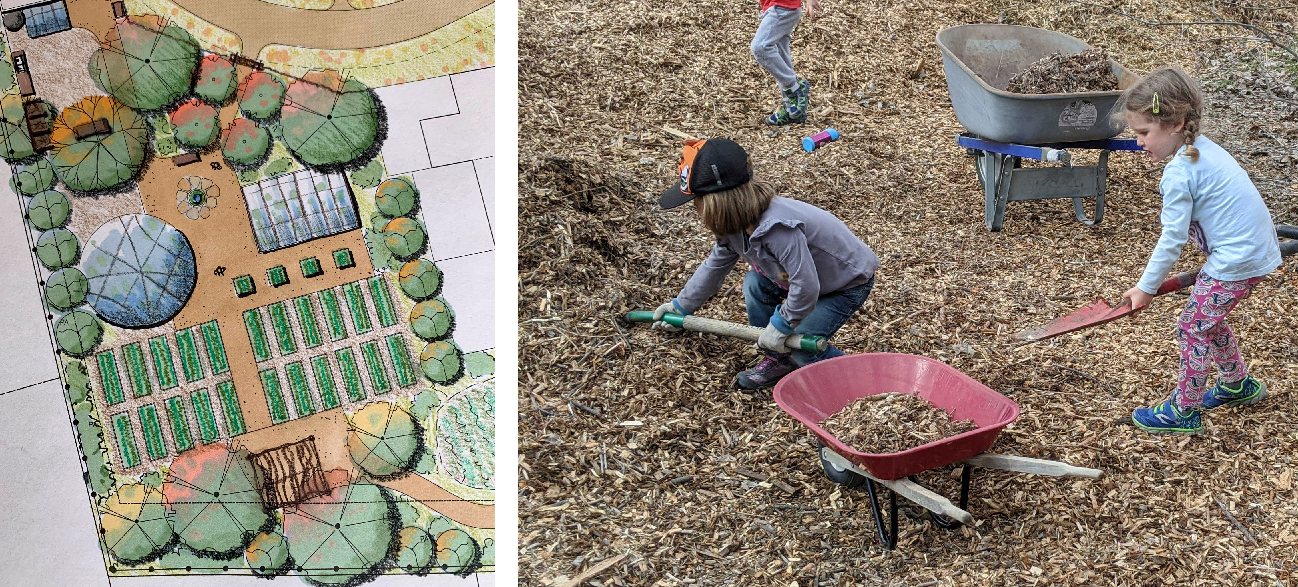 Children gardening and working in a community garden with wheelbarrow and tools.