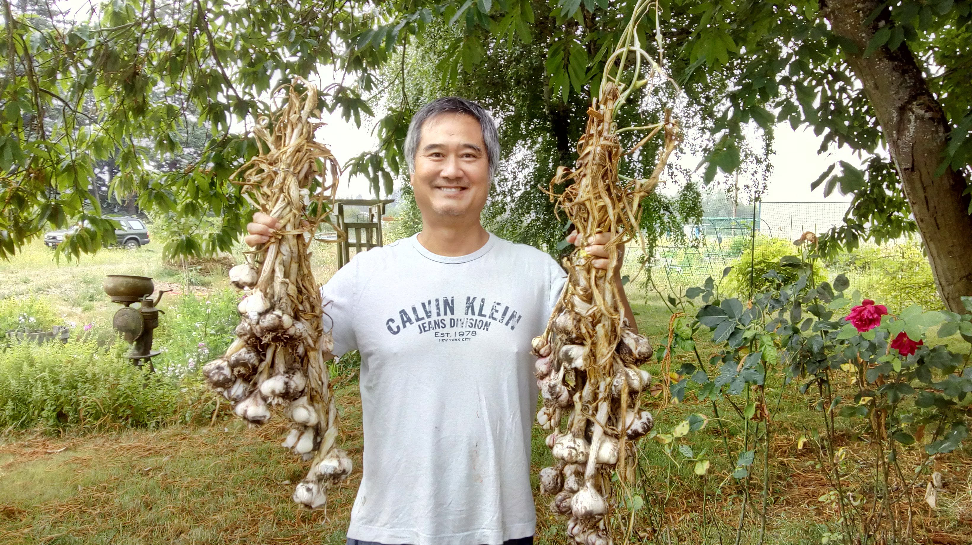Person holding garlic bulbs in a garden setting at Labishire Homestead Commons.