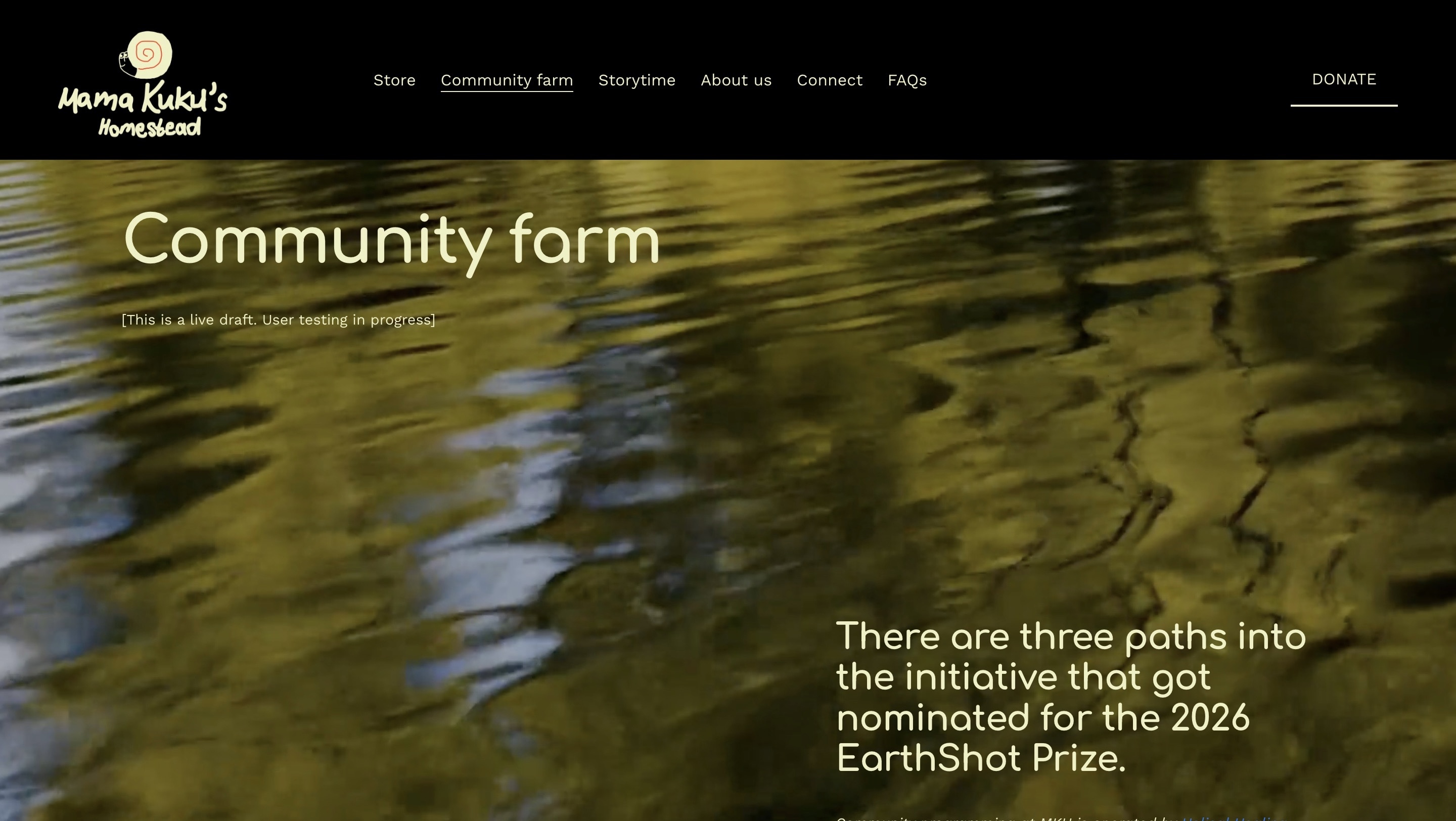 Peaceful community farm with water reflections and natural surroundings.