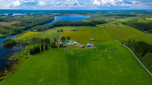 Aerial view of lush green farms, water bodies, and forests in a rural area.